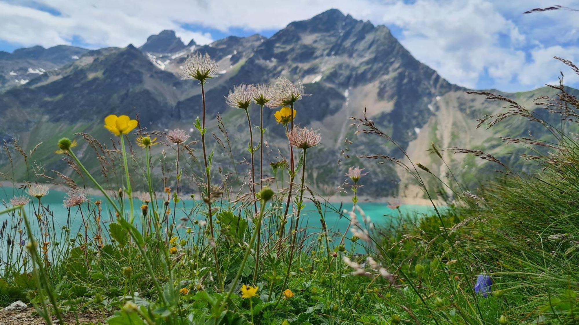 Gaestehaus Landhaus Tyrol Gries im Sellrain Eksteriør billede