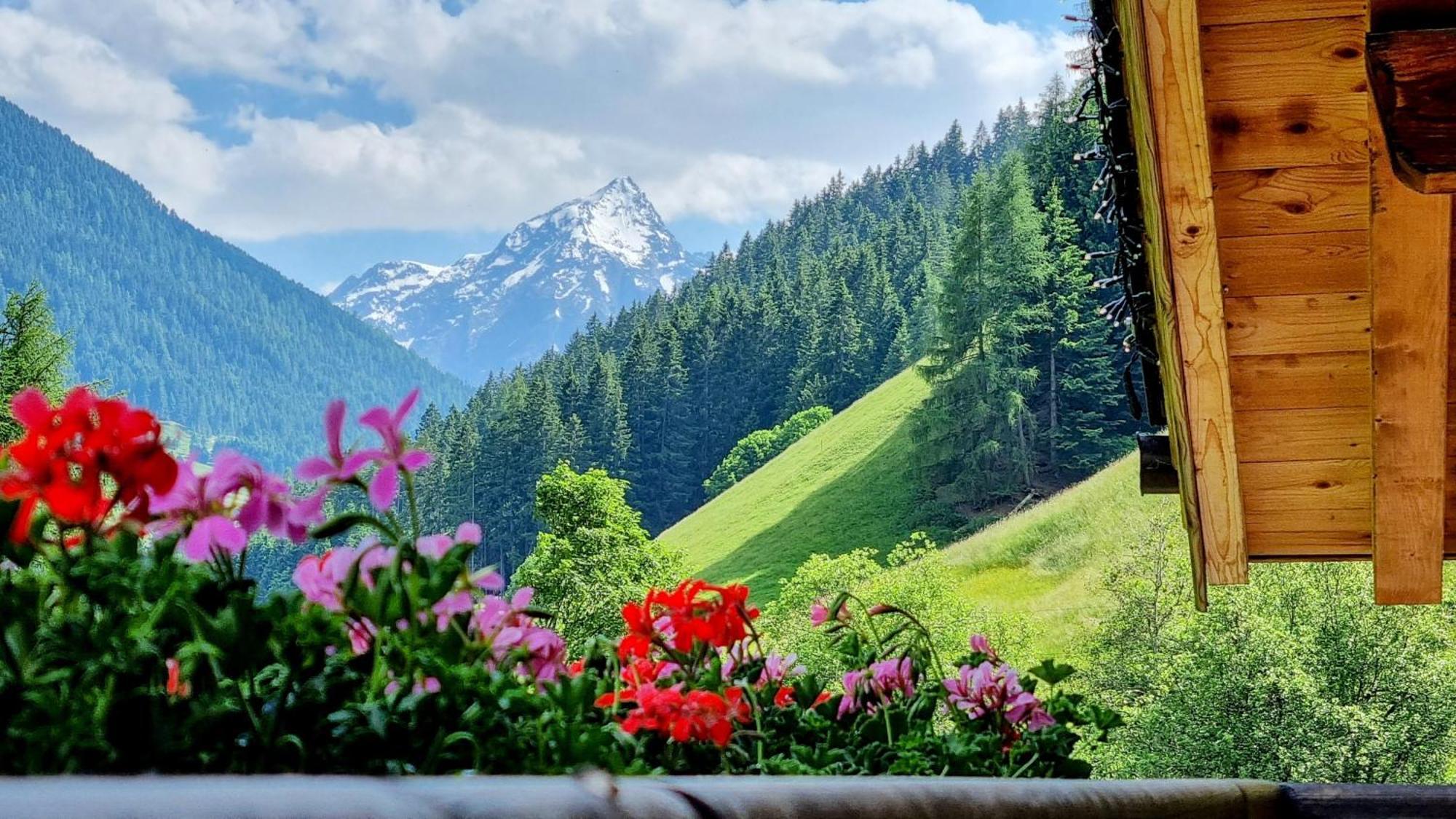 Gaestehaus Landhaus Tyrol Gries im Sellrain Eksteriør billede
